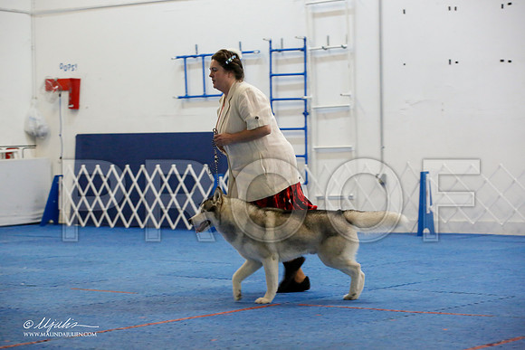 _M3_0407-AddisonHuskyMar2015-HR3