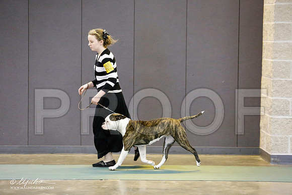 _RH_8740-BeltonJan2015-HR3
