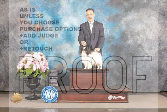 Papillon #25 San Antonio SD Judge Darryl Vice_MJ_7165_Houston_2022_HR3