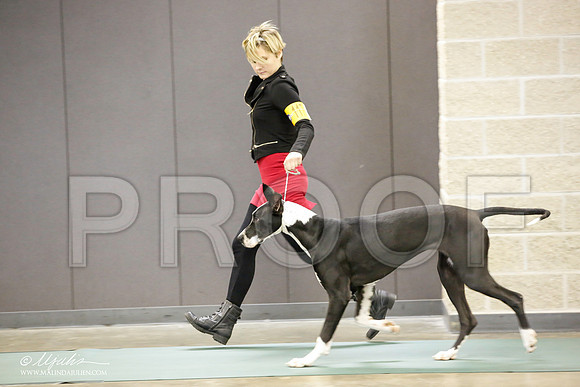 _JN_2096-BeltonJan2015-HR3