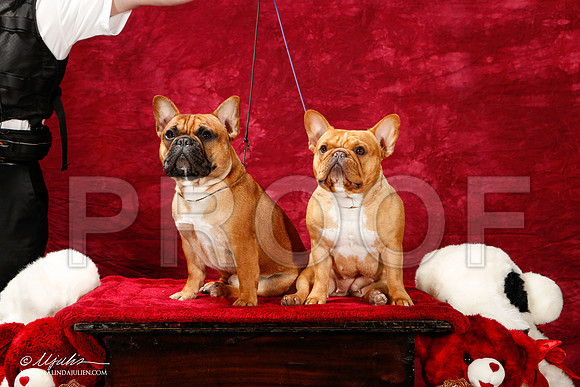 _ST_2662-2-BeltonJan2015IABCA-HR3