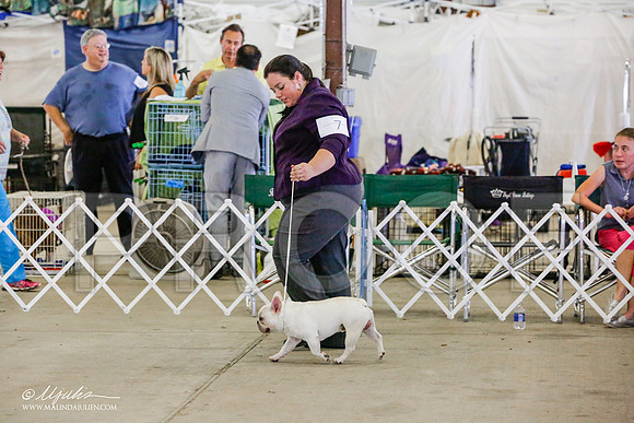 _RH_0344-AlamogordoOct2014-HR3