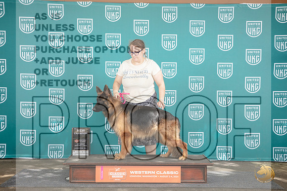 German Shepherd Dog #354 Fri BOB BM Champ BOW G2 No Judge __JP_1354_Longview WA_2024_HR3