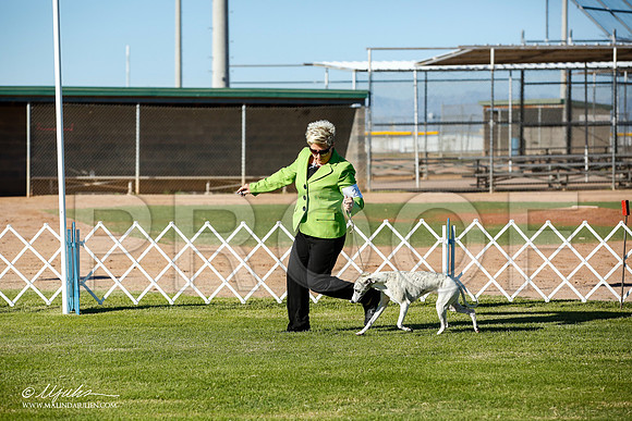 _JN_5465-AlamogordoOct2014-HR3