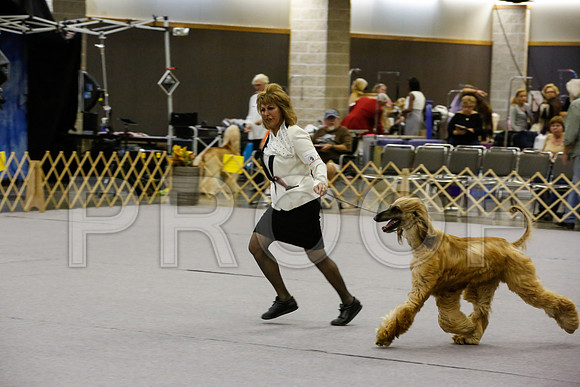 _JN_4303-AfgBeltonOct2014-HR3