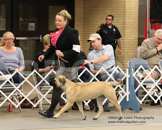 6-9PupSweeps-8751