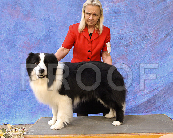 Custom-7613LR