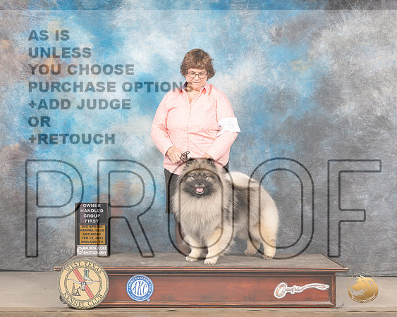 Keeshond #6 Sat OHG1 Judge Jim FehringMMJ_5615_Mdlnd2022_HR3