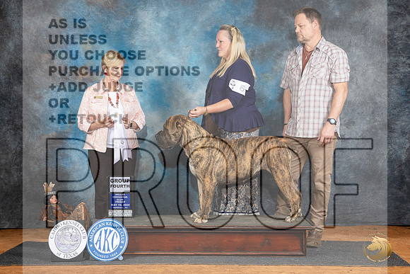 Boerboel #6 Fri G4 Judge Karen Hynek__JP_7226_MARSHALL_2024_HR3