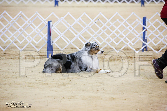 _JJ_6219-ASCACollegeStationNov2014-HR3