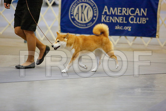 _JJ_8320-AmarilloSept2014-HR3