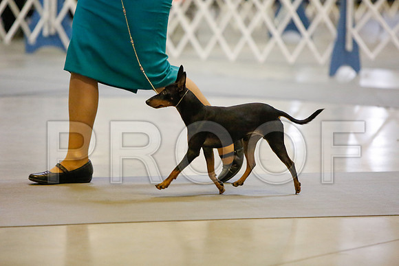 _JJ_1576-AmarilloSept2014-HR3