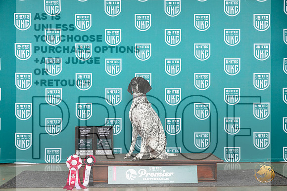 German Shepherd Dog #772 Fri TDBNAG2__JP_2470_Premier_2024_HR3
