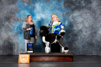 Poodle Std MC #208 Fri G1 Judge Lila Fast Judge Tracey Kallas