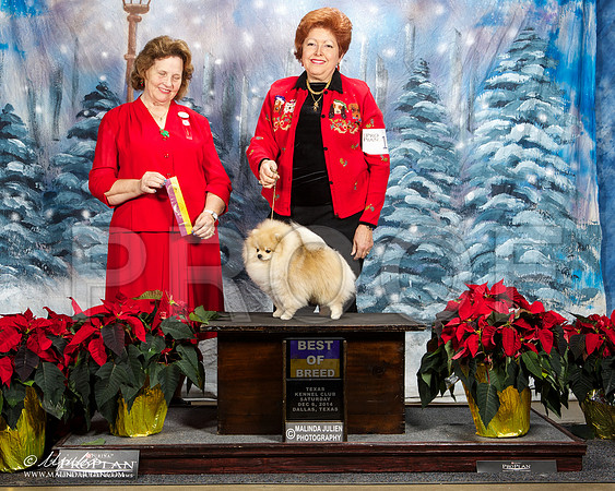 _ST_8572-DallasDec2014-HR3