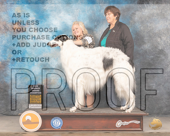 Borzoi #21 Sat BOB? Judge Del RichardsMMJ_4204_Mdlnd2022_HR3