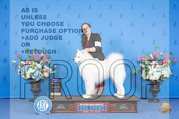 Samoyed #19 SUN BOW Judge Ronald Freeman__JP_0622_Houston_2024_HR3