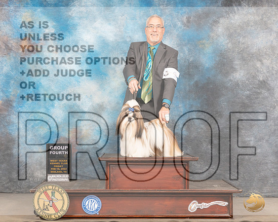 Shih Tzu #9 Sun G4 Judge Jim FehringMMJ_5741_Mdlnd2022_HR3