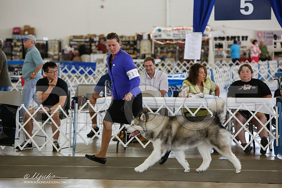 _JJ_1605-DallasJul2014-HR3
