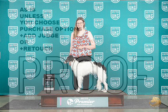 Silken Windhound #1052 Fri BOW Judge Kathie Short__JP_1657_Premier_2024_HR3
