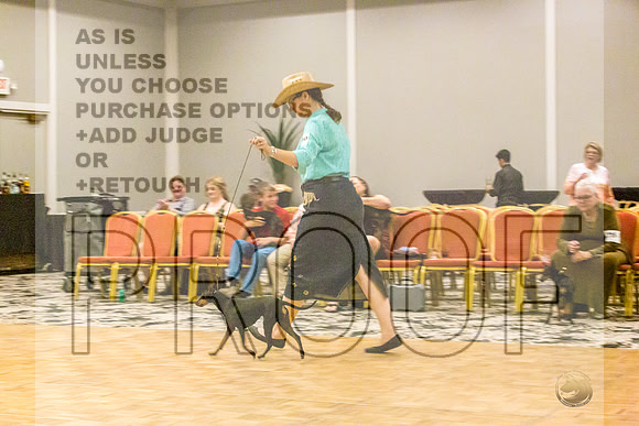 Manchester Terrier MTOY Candids-JJL_2103-Hstn2022_HR3