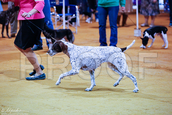 _RH_5008-MarshDec2014-HR