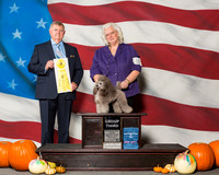 Poodles Toy #16 Sat G3 Lupardus Keith Brabara Judge Mr Richard H Mullen