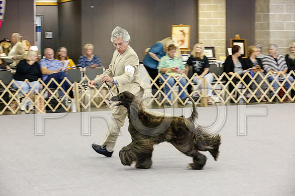 _JJ_0689-AfgBeltonOct2014-HR3