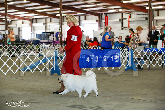 _JJ_4242-AlamogordoOct2014-HR3