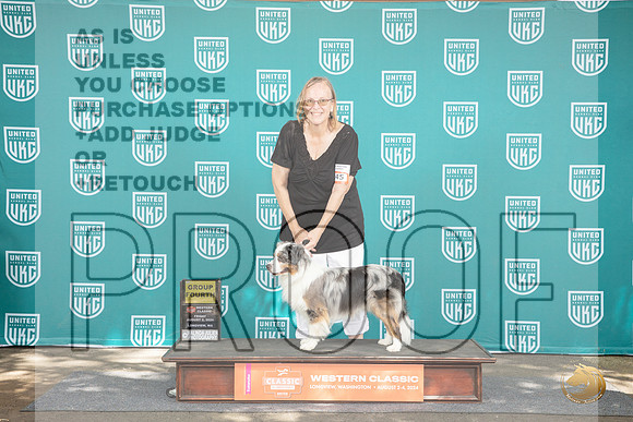 Miniature American Shepherd #245 Fri BOB Judge Katherine Short__JP_1073_Longview WA_2024_HR3