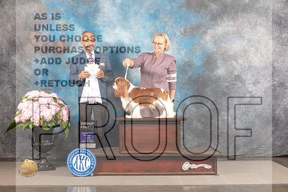 Cavalier King Charles Spaniel #7 FRI G4 Judge Timothy Catterson_MJ_6047_Houston_2022_HR3