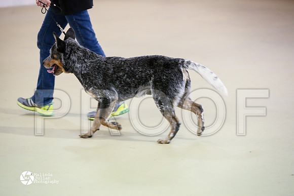 ACD-7596-HtoJan14-HR