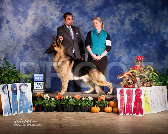 GSD-4897-HstnNov13-HR