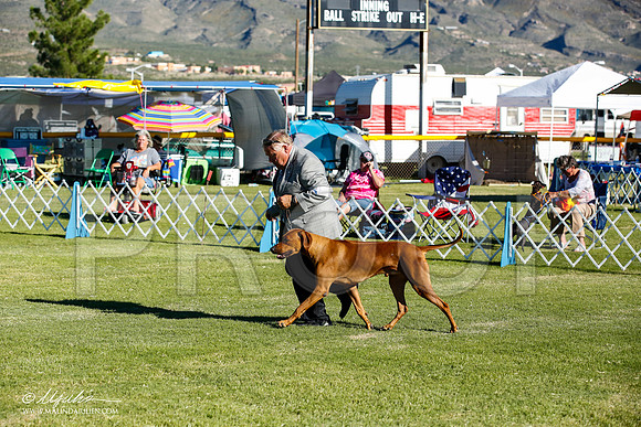 _JN_9761-AlamogordoOct2014-HR3