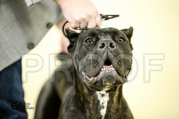 cane-7219-HtoJan2014-HR