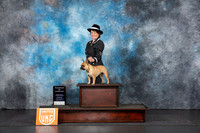 French Bulldog #? Sat COC Judge Nancy Gallant