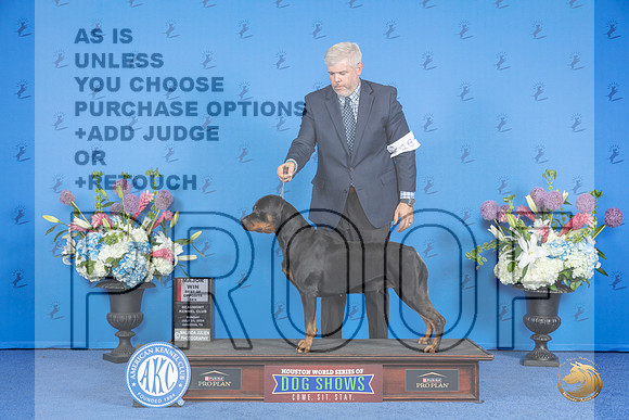 Rottweiler #18 SUN BOS Judge Ronald Freeman__JP_0034_Houston_2024_HR3
