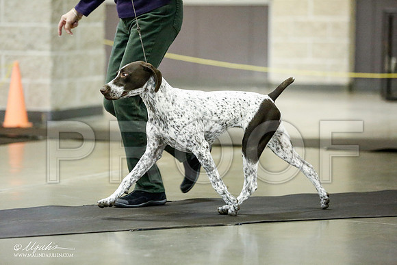 _RH_0940-BeltonJan2015IABCA-HR3