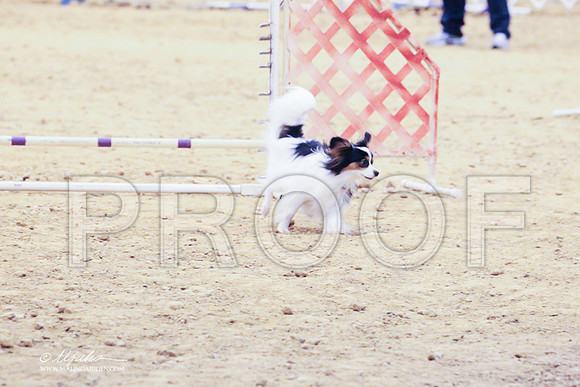 Pap-7796 PROOF