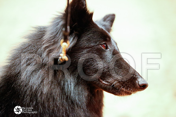 _N9A9389-TulsaApr14-HR3