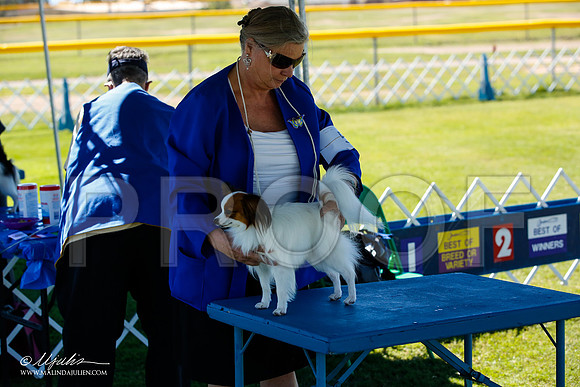 _JN_5058-AlamogordoOct2014-HR3