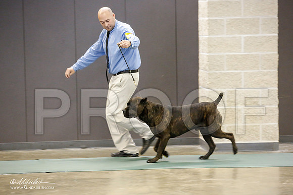 _JN_2182-BeltonJan2015-HR3