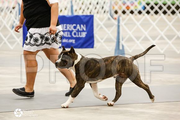 _CK_8713-AblnMay2014-web