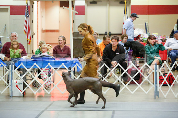 _JJ_0052-AmarilloSept2014-HR3