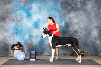 Great Dane #15 WDBOW Judge Eric Liebes