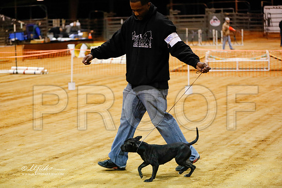 staffy-1441-MrshlDec13-HR