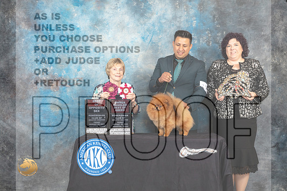 Pomeranian #12 Fri2 BOSOHBOB Judge Sharon Masnick_MJ_9761_HstnTOY_2022_HR3