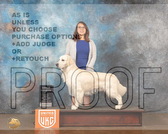 Golden Retriever #112 Fri1 G4 Judge Michelle BlackowlMMJ_6105_Lngvw2022HR3
