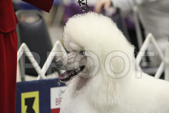 MJS_7025
