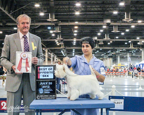 WPBOS-6044 PROOF PROOF